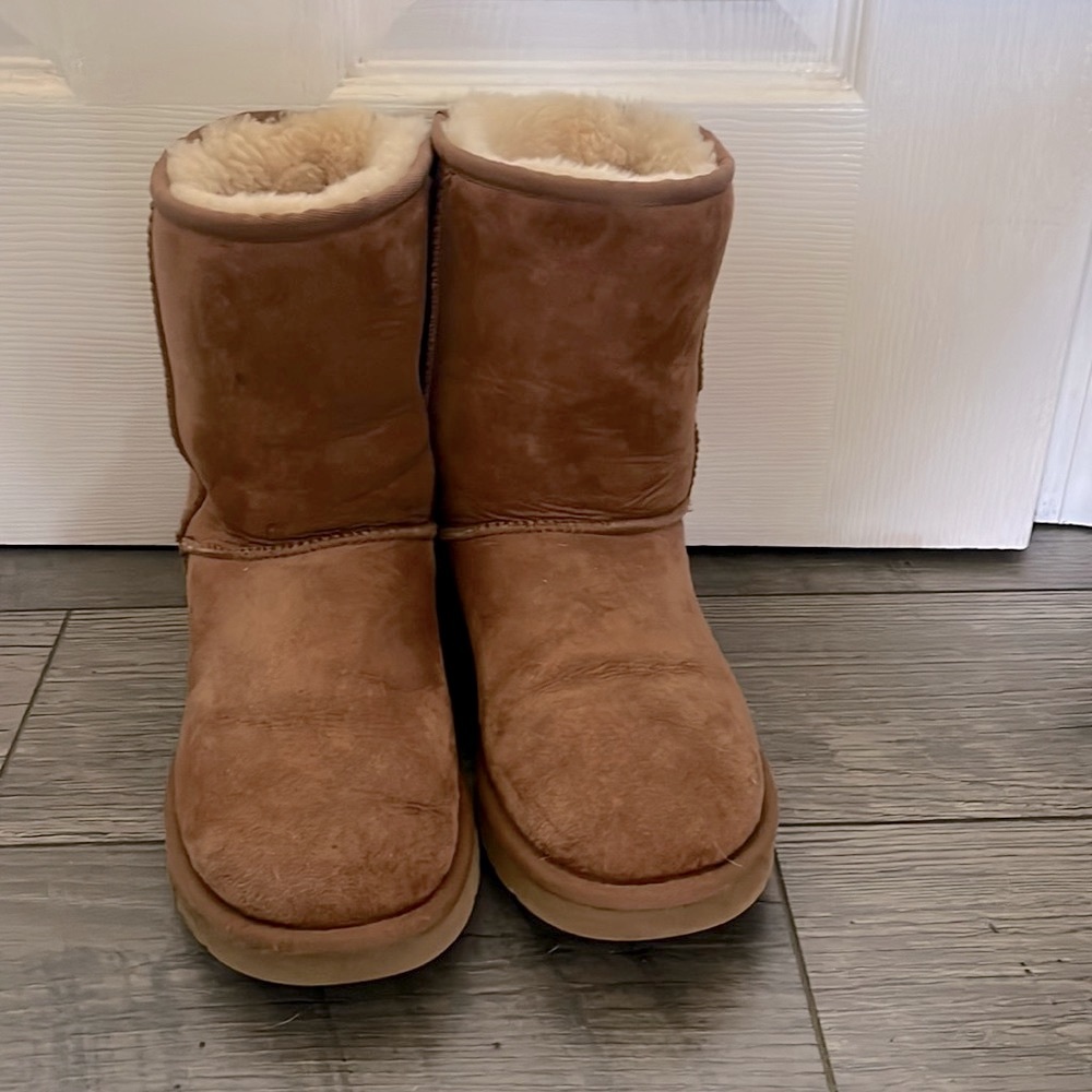 COPY - Uggs in chestnut color